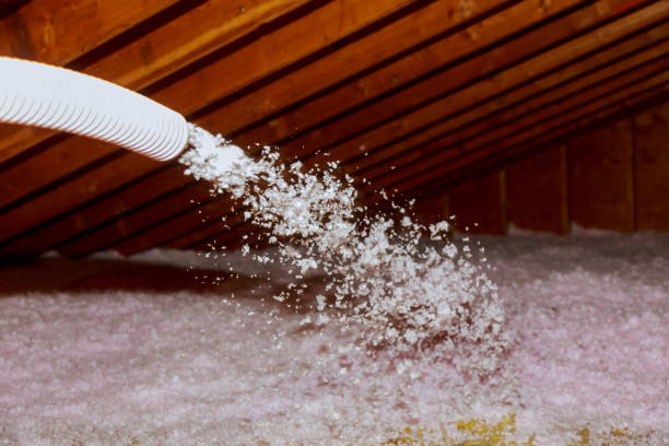 Best Energy Efficiency Solutions in Keshore, LA