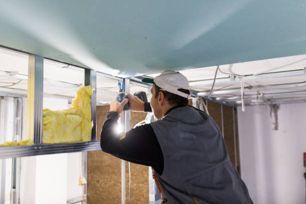 Best Insulation Maintenance and Repair in Keshore, LA